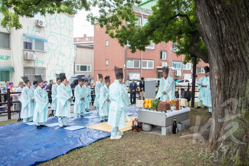 신현동 회회나무 당제