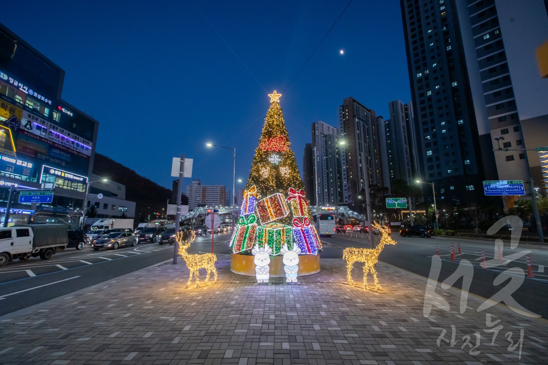 루원시티 트리 점등식