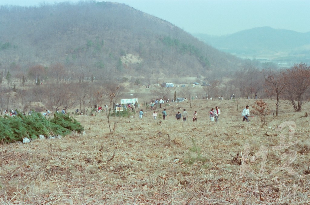 식목일 기념 행사