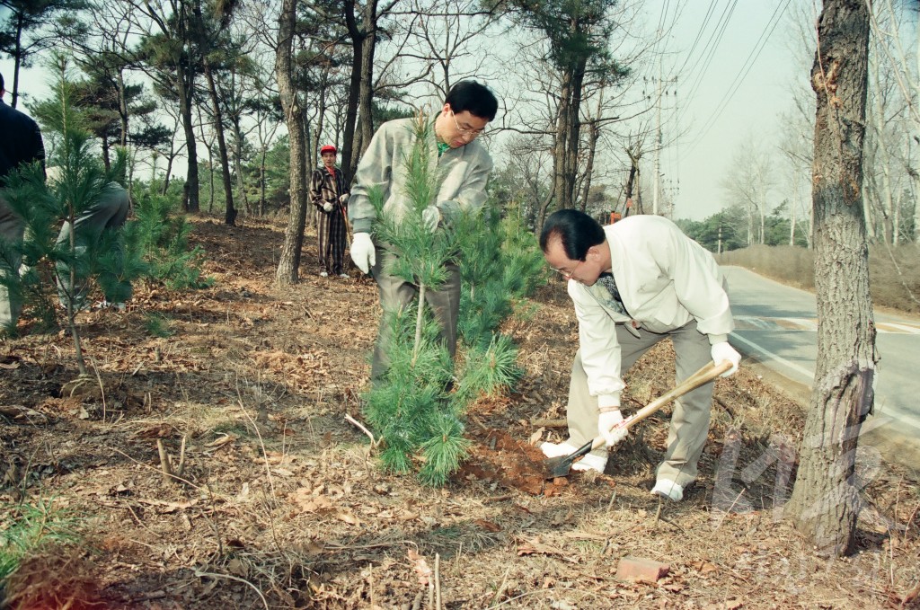 제51회 식목일 나무심기