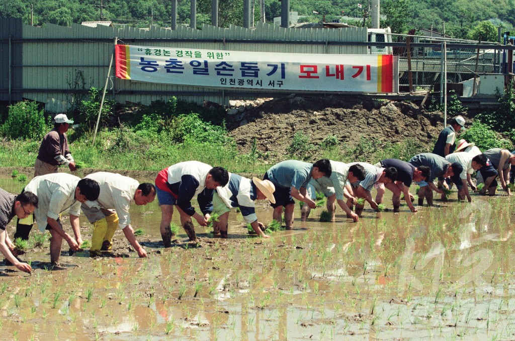 휴경 논 모내기 행사