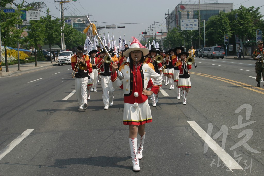 노랑 꽃창포 축제