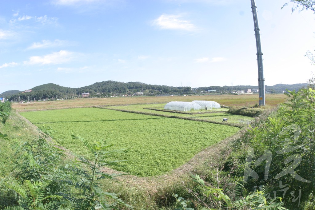 아시안게임 주경기장 부지