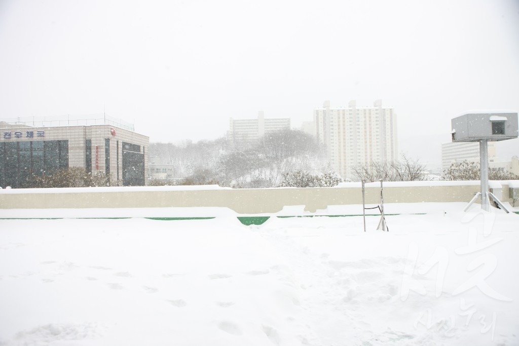 서구 설경