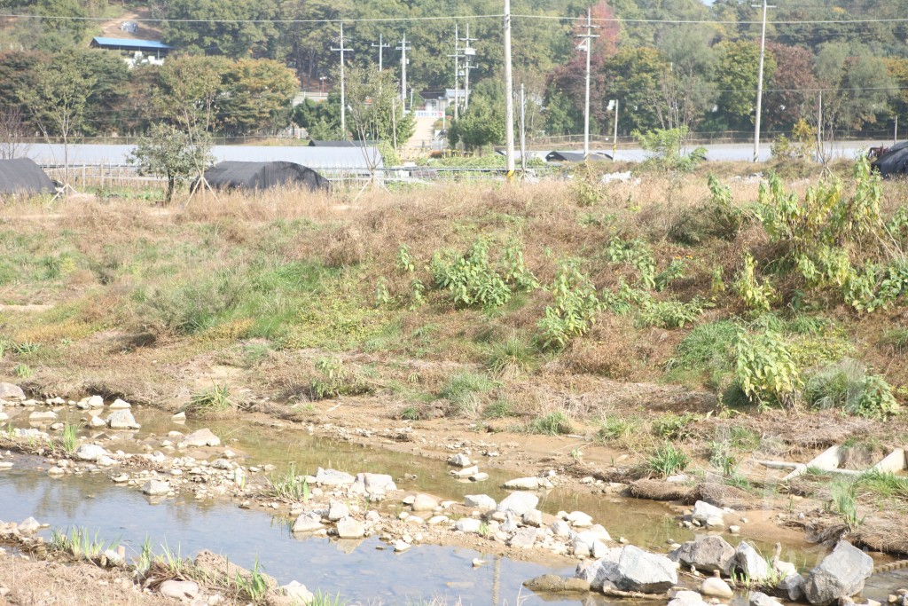 공천천정화작업