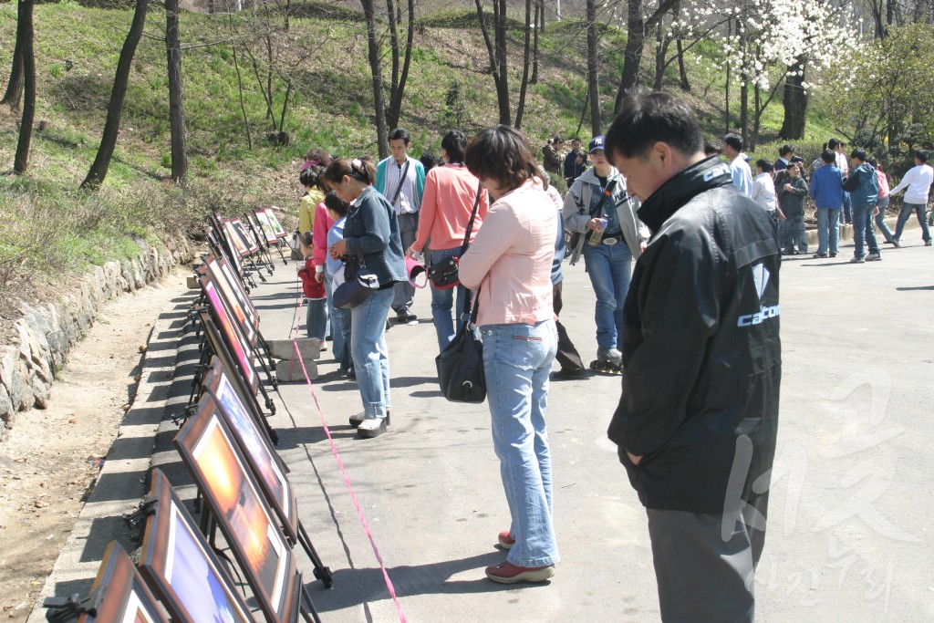 연도별 주요사진 백업_2006년 승학길 차없는 거리