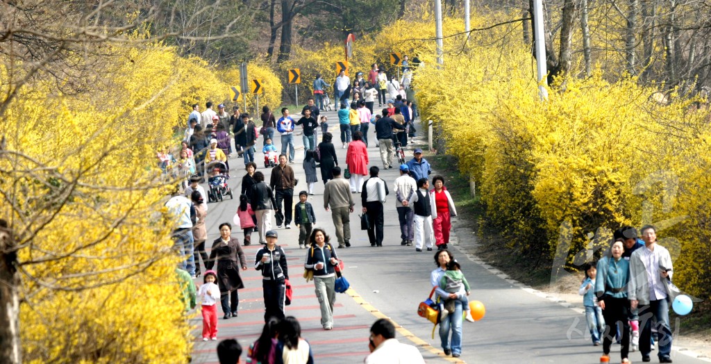 연도별 주요사진 백업_2007년 승학길 풍물축제