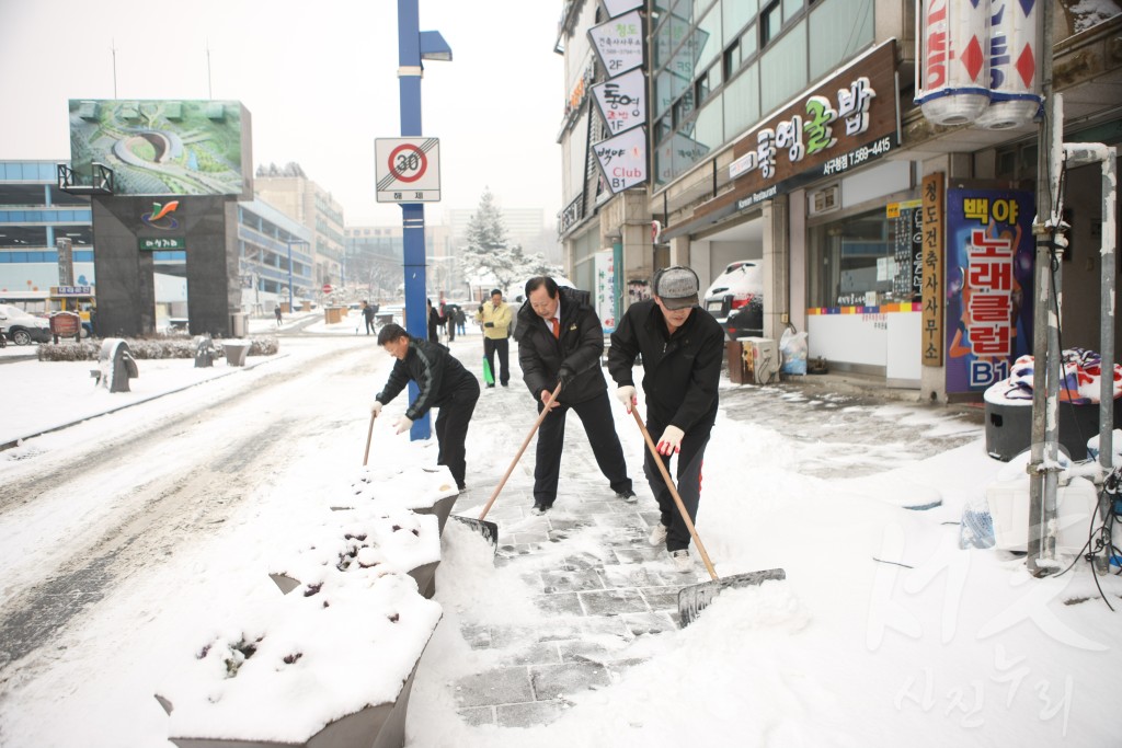 청사 활동 사진 백업_2011년 활동사진