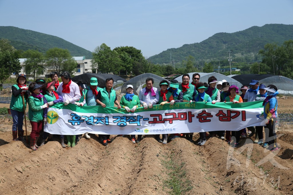 서구새마을회 휴경지 경작