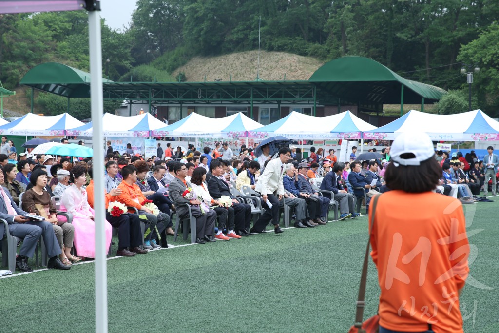 제8회 장미축제