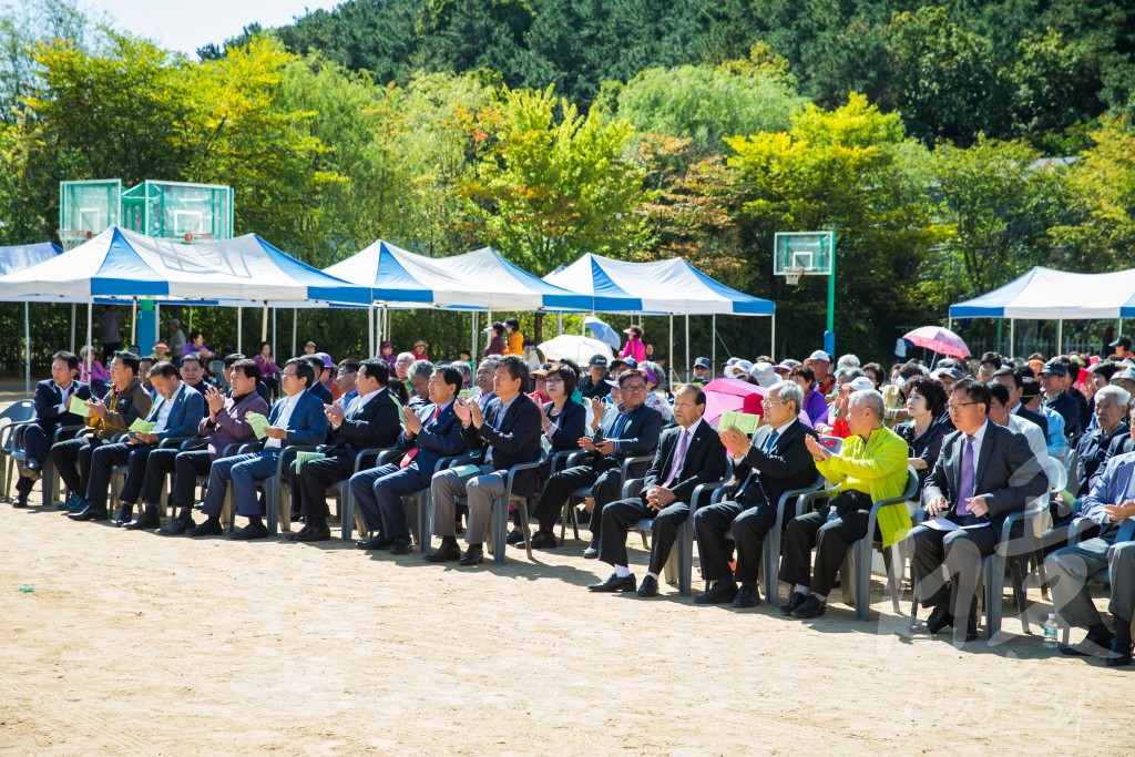 황화산골 들판축제