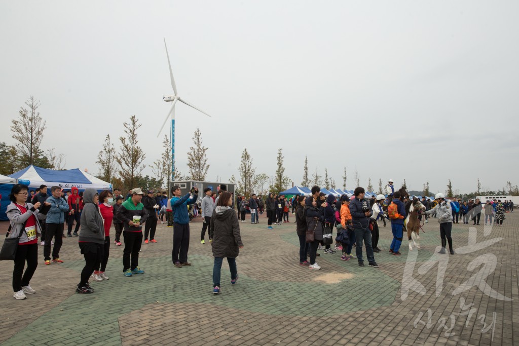 제4회 정서진 아라뱃길 마라톤대회