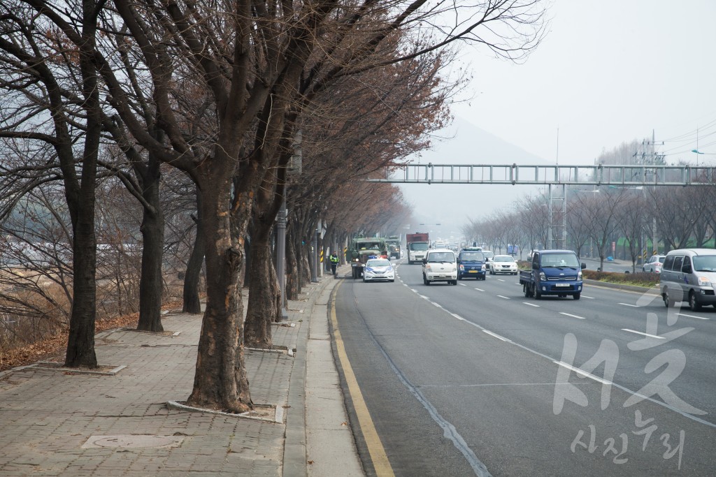 서구청 제17사단 합동 AI 확산방지 방역