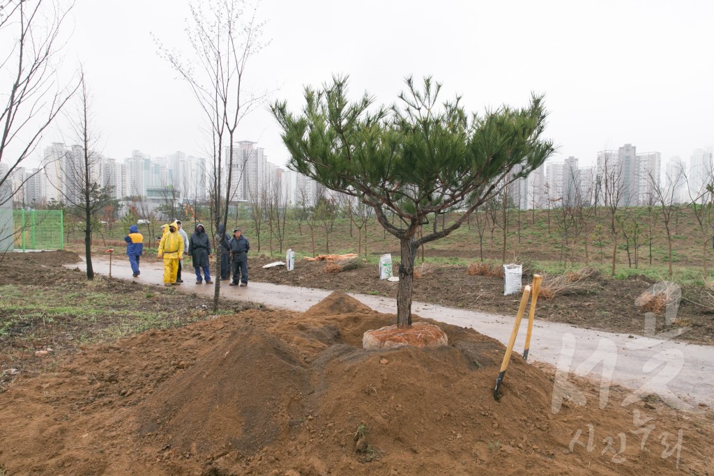 제73회 식목일 나무심기 행사