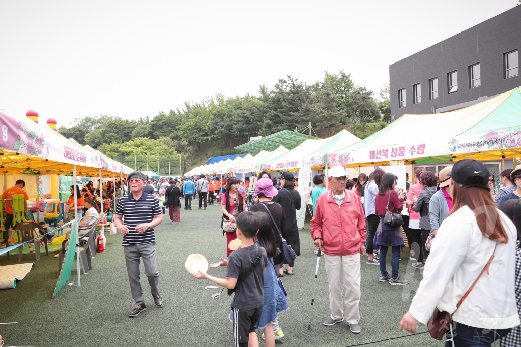 제12회 장미축제