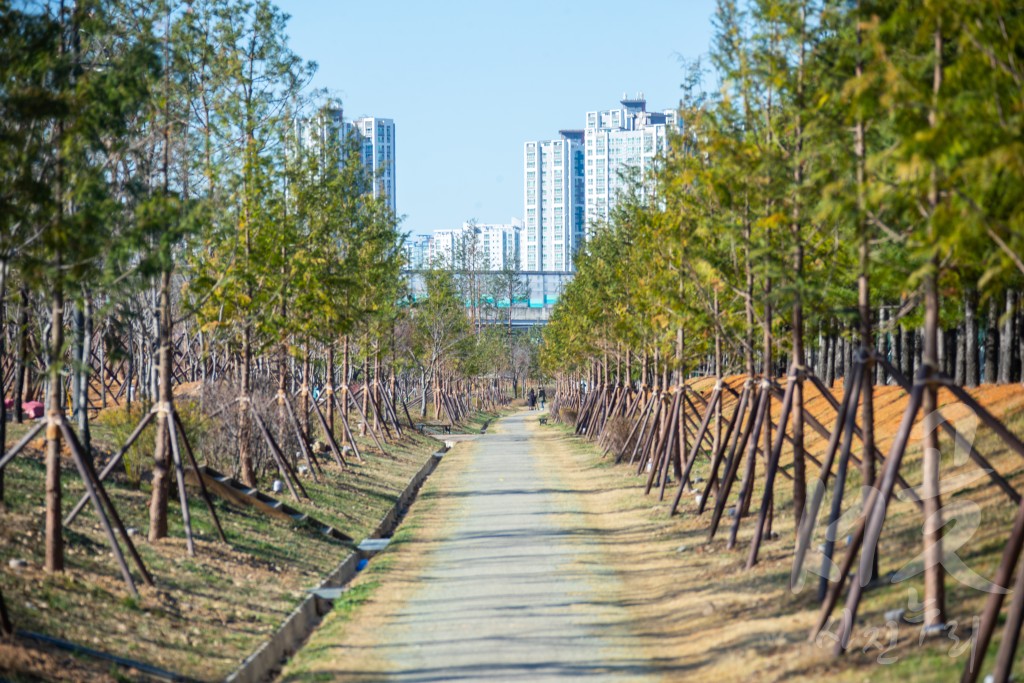 청라16호 경관녹지 스케치